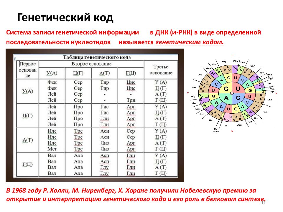 Используя таблицу генетического кода нарисуйте участок днк в котором закодирована информация о следу