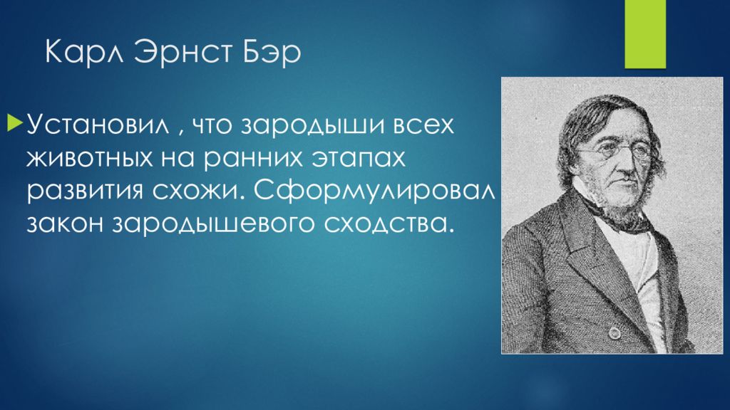 Бэр это. Карл Бэр открытия в биологии. Карл Эрнст Бэр вклад в биологию. Карл Максимович Бэр вклад в биологию. Карл Бэр вклад в развитие эволюционных идей.