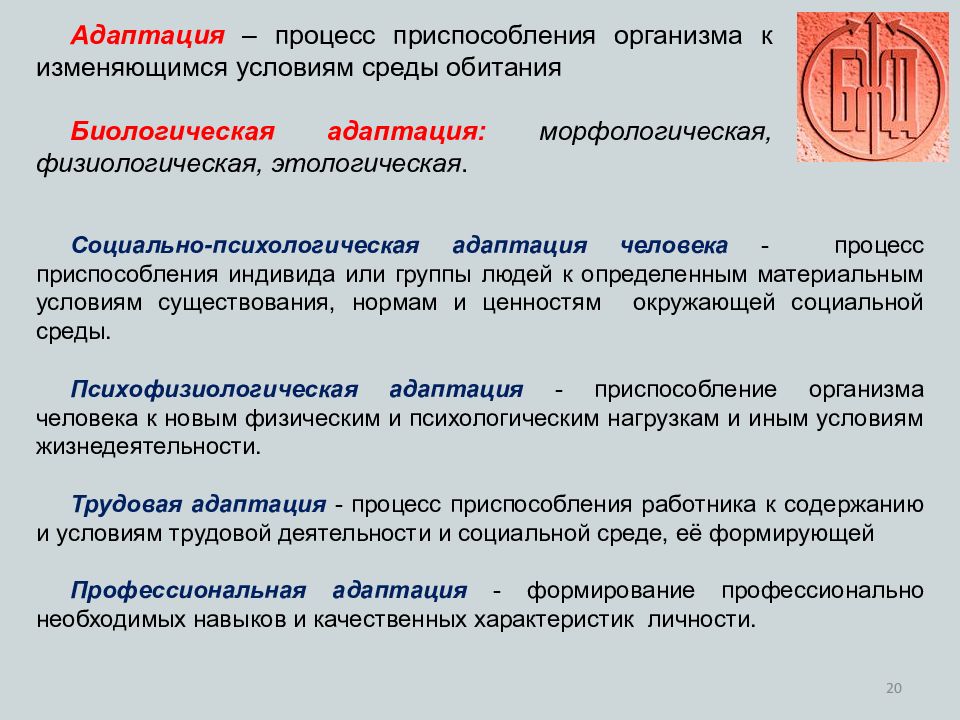 Процесс приспособления организма. Адаптация БЖД. Виды адаптации БЖД. Адаптация человека БЖД.