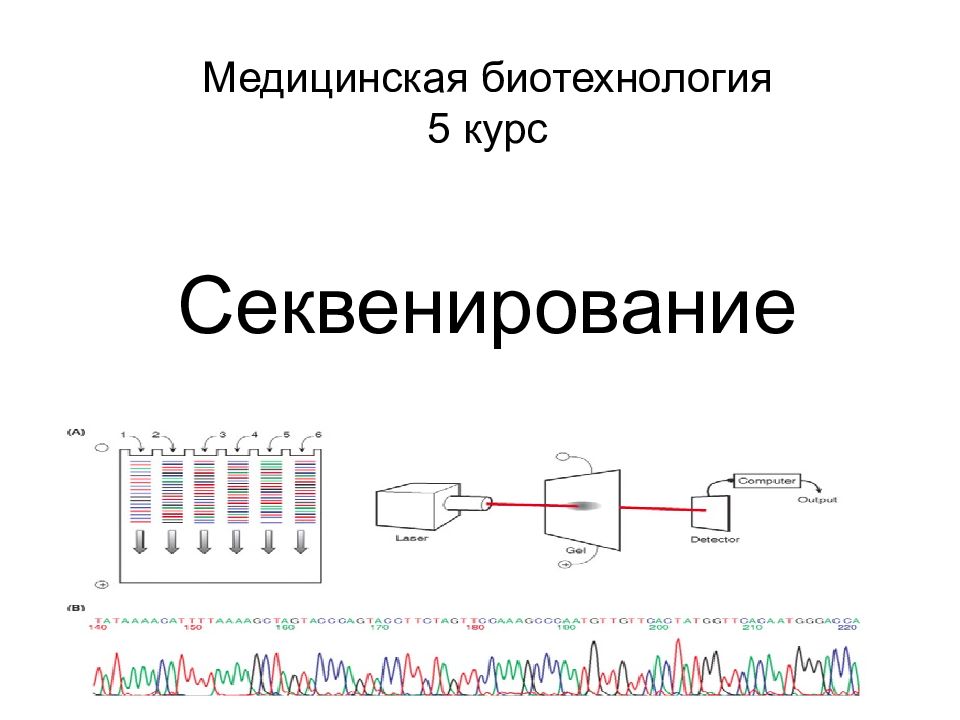 Секвенирование