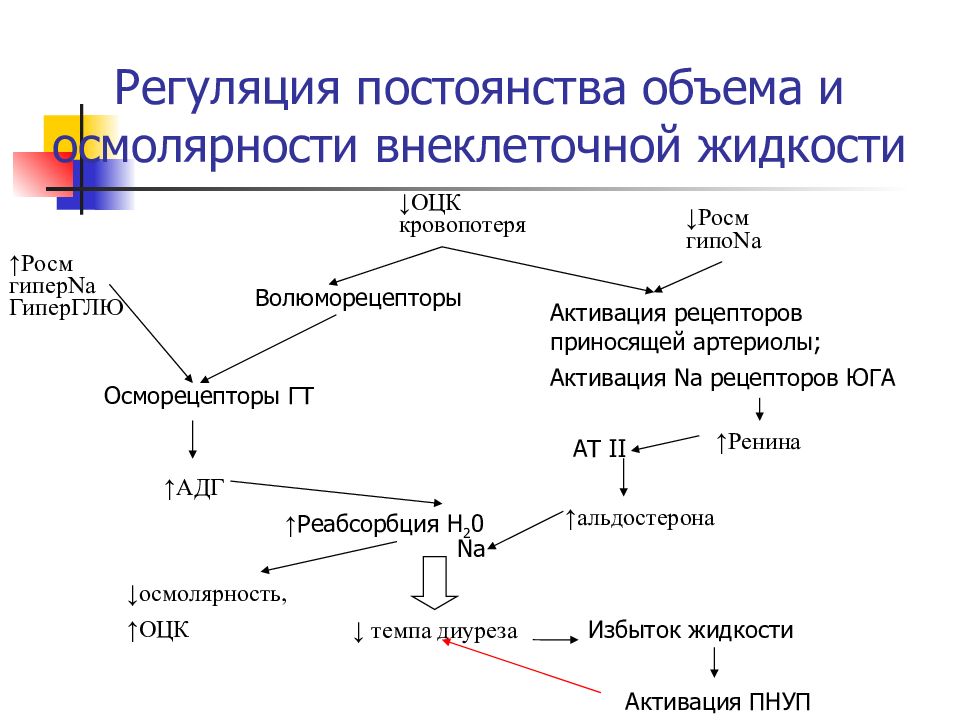 Презентация нарушение водно электролитного баланса