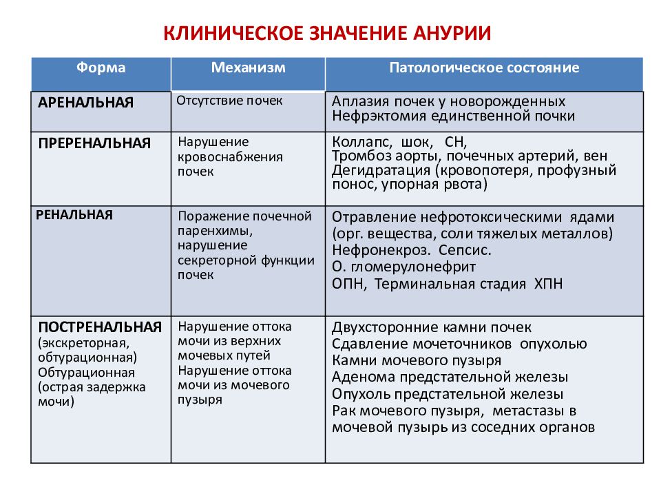 Анурия это в медицине. Классификация анурии. Анурия характерна для. Причины анурии. Преренальная анурия.