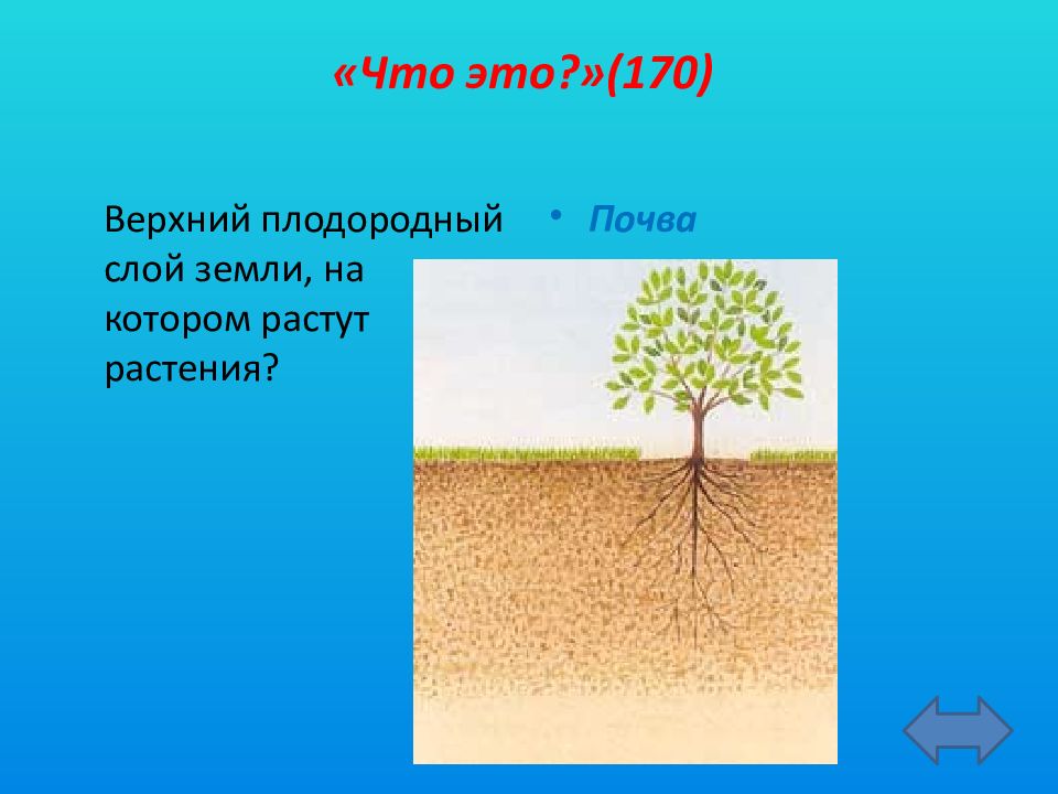 Как называется плодородный. Слой земли на котором растут растения. Верхний плодородный слой земли. Верхний слой земли на котором растут растения. Растения произрастающие на плодородных почвах.