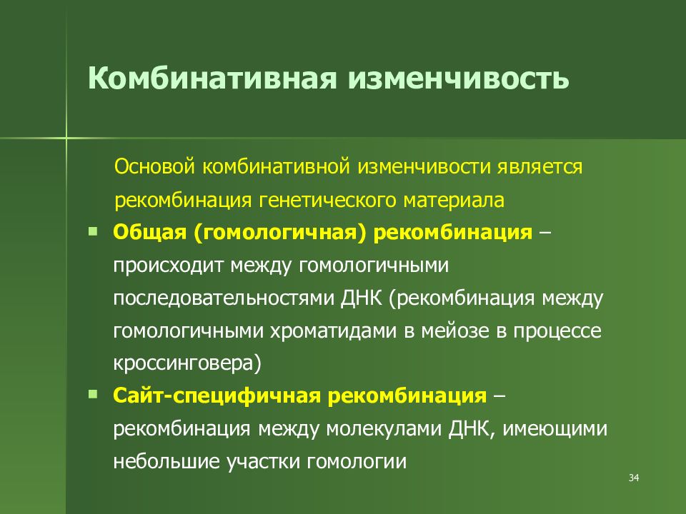 Комбинативная изменчивость обусловлена. Комбинативная изменчивость. Комбинативная изменчивость является. Понятие комбинативная изменчивость. Комбинативная изменчивость функции.