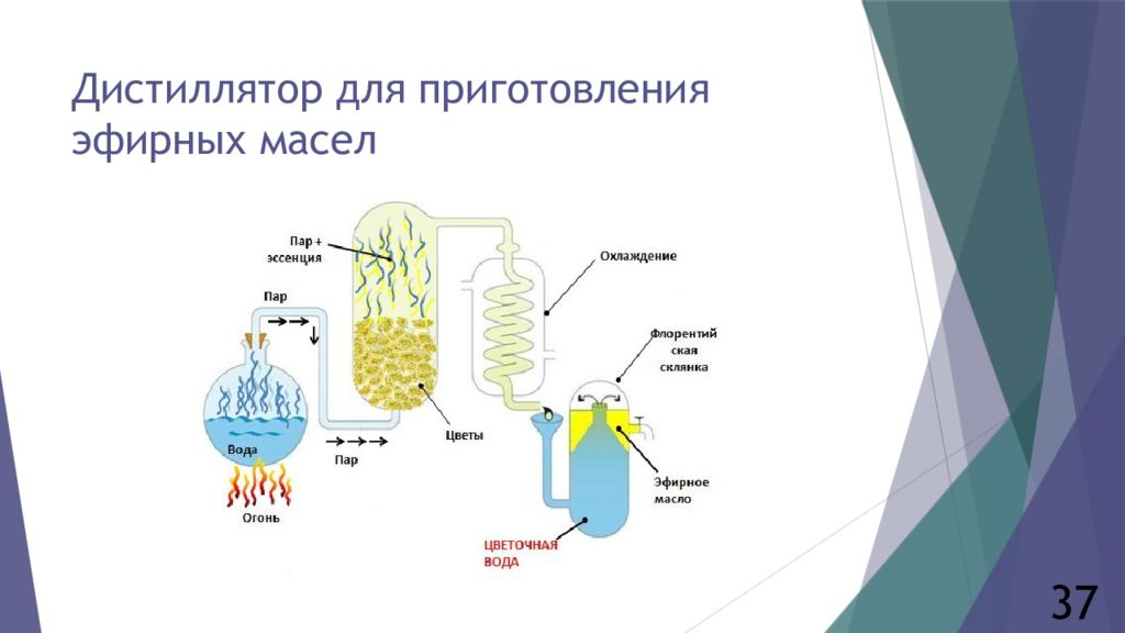 Эмульгатор Для Эфирных Масел Купить