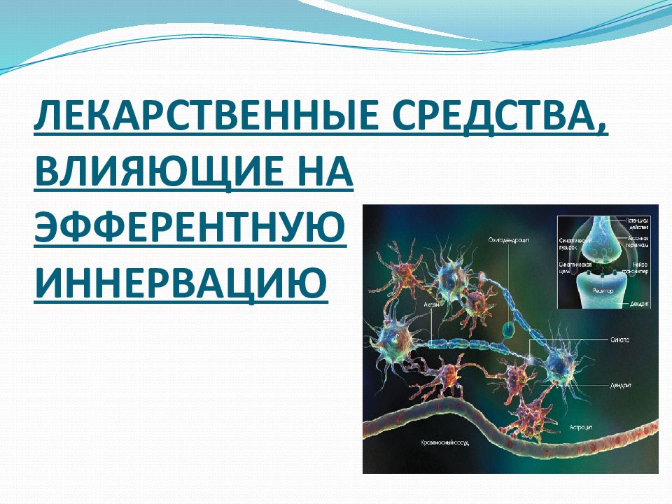 Средства влияющие на афферентную иннервацию фармакология презентация