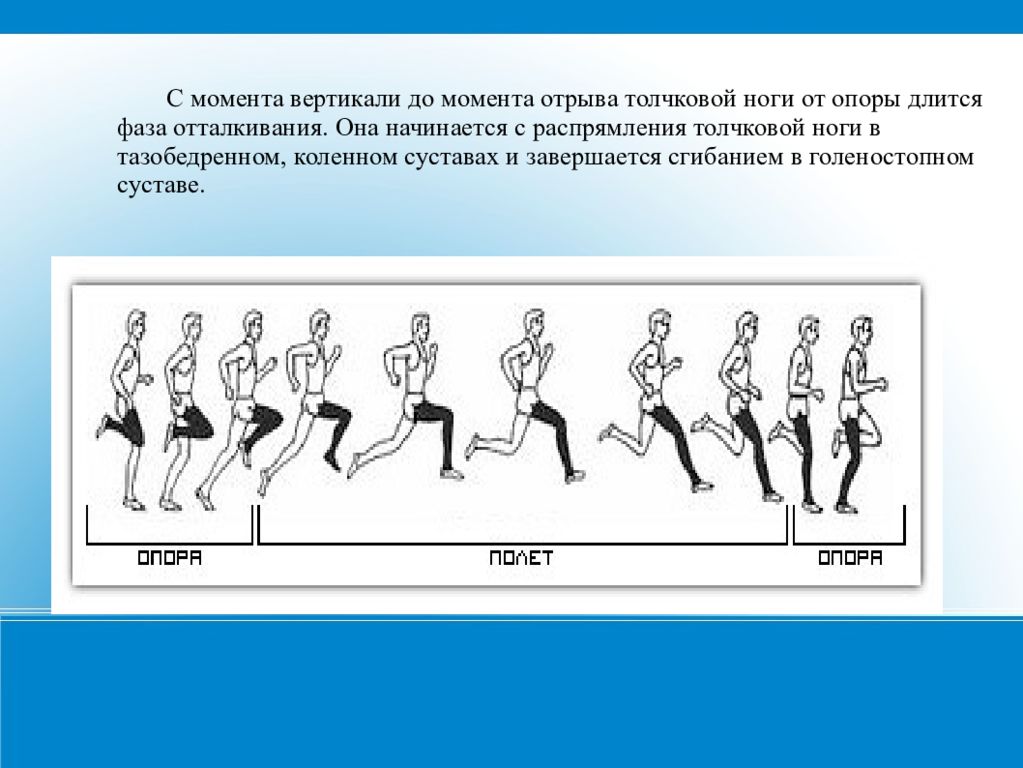 Вертикаль момент. Продолжите фразу: в основе техники бега лежит?. Охарактеризуйте момент вертикали в спортивной ходьбе.