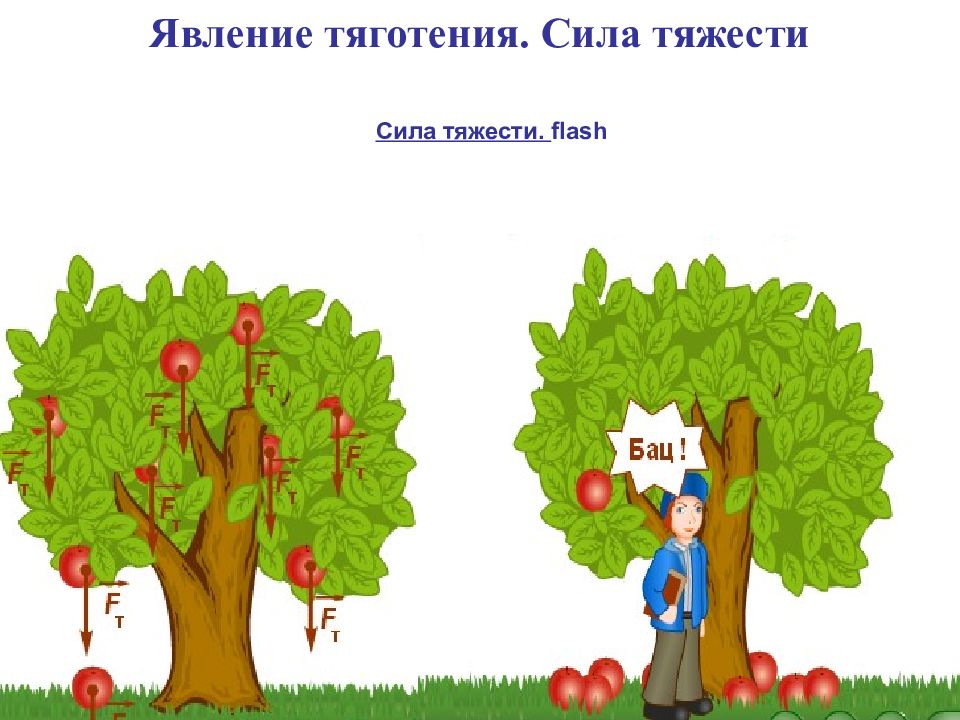 Явление силы тяжести. Явление Всемирного тяготения. Явление тяготения сила тяжести. Сила явление тяготения сила тяжести 7 класс. Феномен Всемирного тяготения.