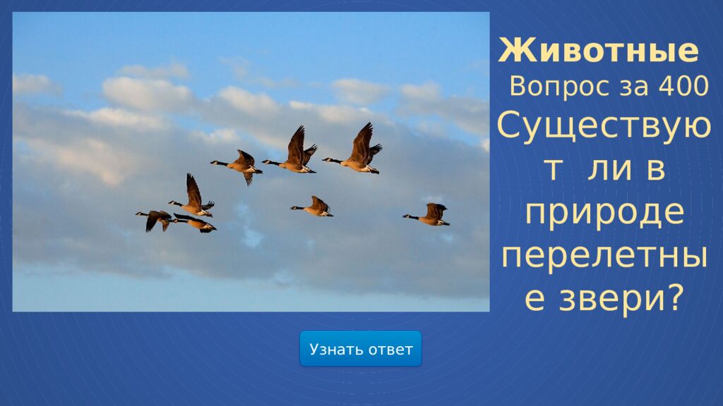 Мир весенней природы