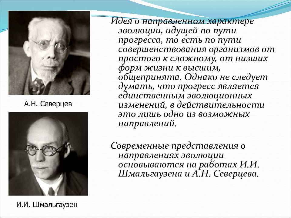 В процессе эволюции высокой организации достигли