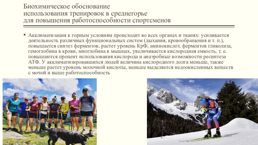 Виды спортивной работоспособности