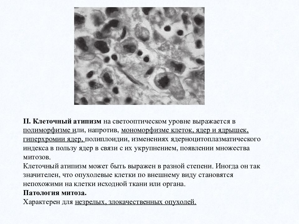 Презентация по опухолям