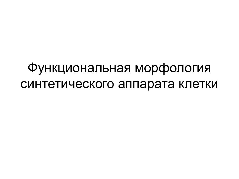 Функциональная морфология синтетического аппарата клетки