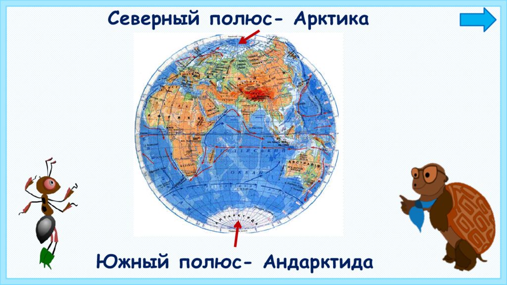 Южный полюс рисунок. Полюс Северный или Южный. Северный полюс Антарктида или Арктика. Северный и Южный полюс медведи и пингвины. Белые медведи Южный или Северный полюс.