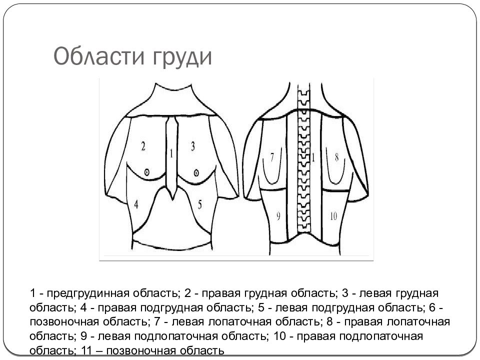 Парастернальная линия это