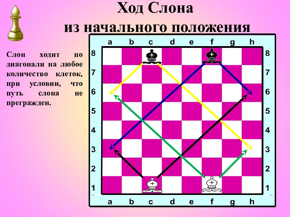 Определенное количество ходов. Шахматы расстановка фигур. Шахматная доска ход слона. Ход слона в шахматах. Шахматные фигуры ,ходы, начальное расположение.