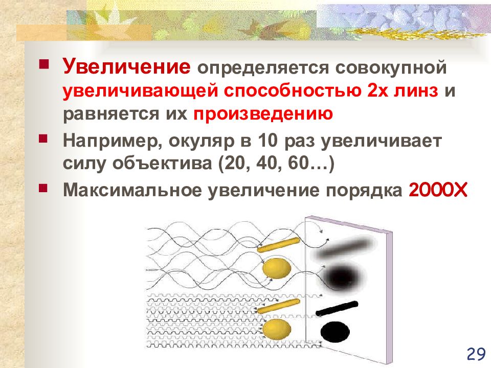 Увеличение определяться. Максимальное увеличение.