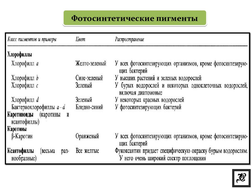 Пигменты растений презентация