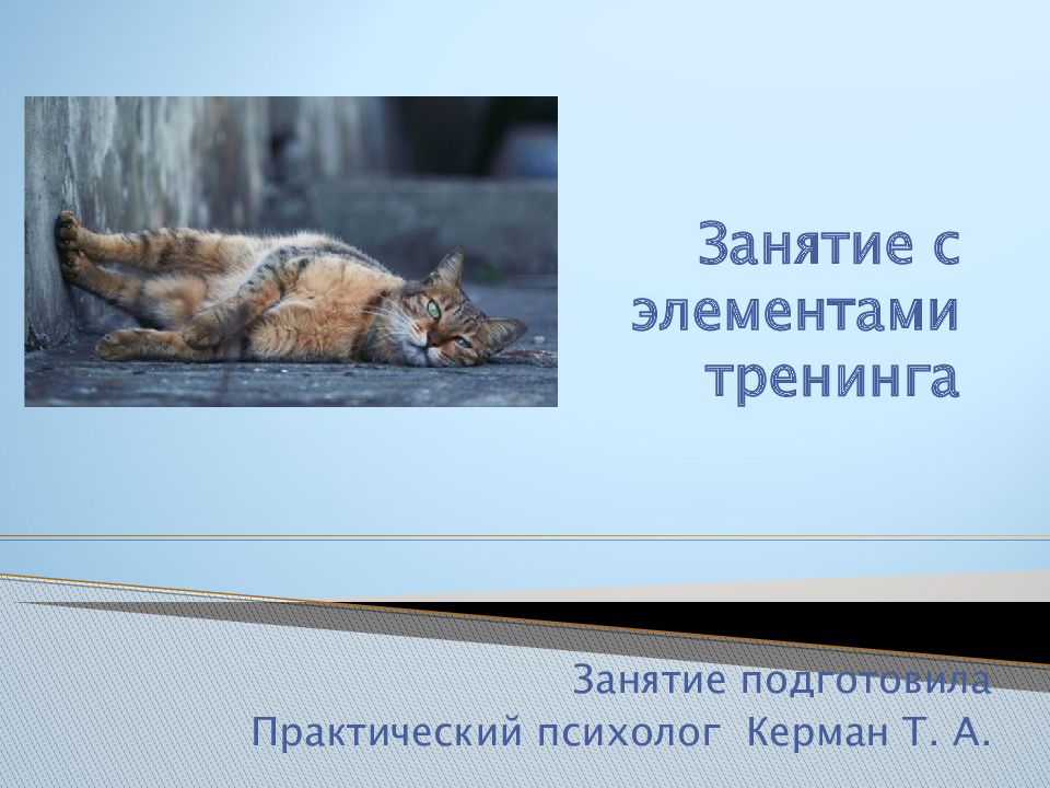 Занятие с элементами тренинга