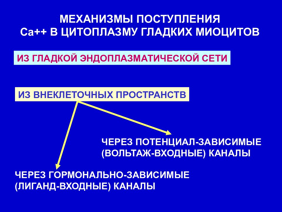 Механизм поступления. Вольтаж зависимые каналы. Гормонально зависимые ткани. Механизм поступления кальция в гладкий миоцит.