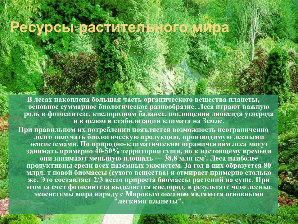 Основное богатство австралии лесные ресурсы. Лес как важнейший растительный ресурс планеты. Растительные ресурсы. Леса играют важную роль сообщение. Истощение природных ресурсов планеты.