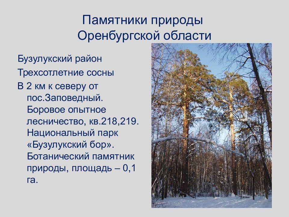 Памятники природы конспект. Памятники природы Оренбургской области. Рассказ о памятниках природы Оренбургской области. Природные памятники Оренбурга. Памятник природы Оренбургской.