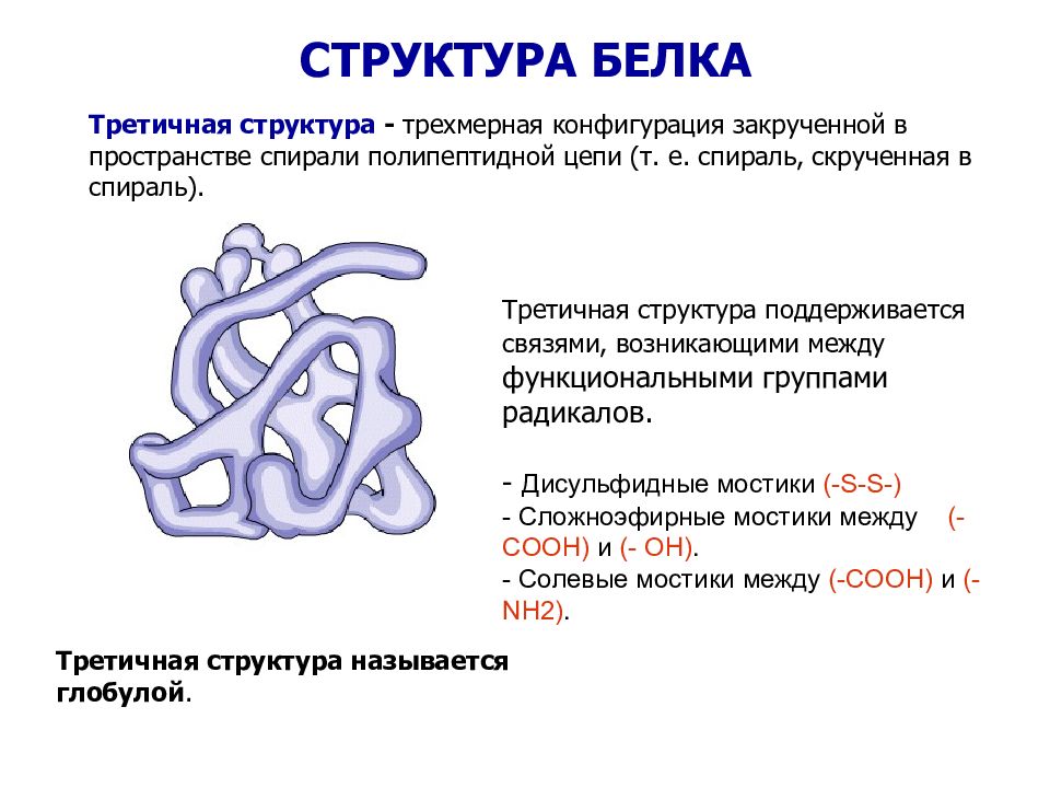 Связи структур белков. Третичная структура структура белка. Третичная структура белка связи взаимодействия. Третичная структура белка состав. Этичная структура белка.