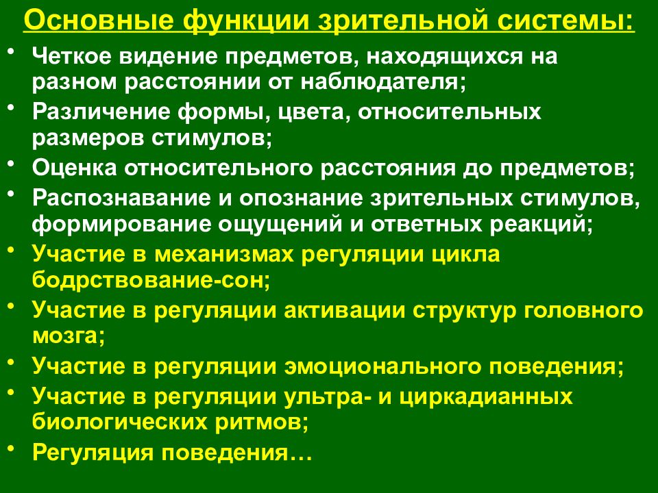 Зрительная сенсорная система. Зрительная сенсорная система физиология функции. Функции зрительной сенсорной системы. Состав строение и функции зрительной сенсорной системы. Общая характеристика зрительной сенсорной системы.