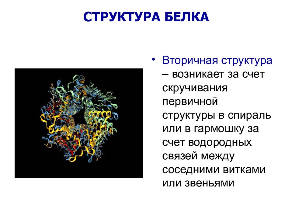 Возникнуть структура. Белки структурное звено. Состав белка. Белки 9 класс. Мономер первичной структуры белка.