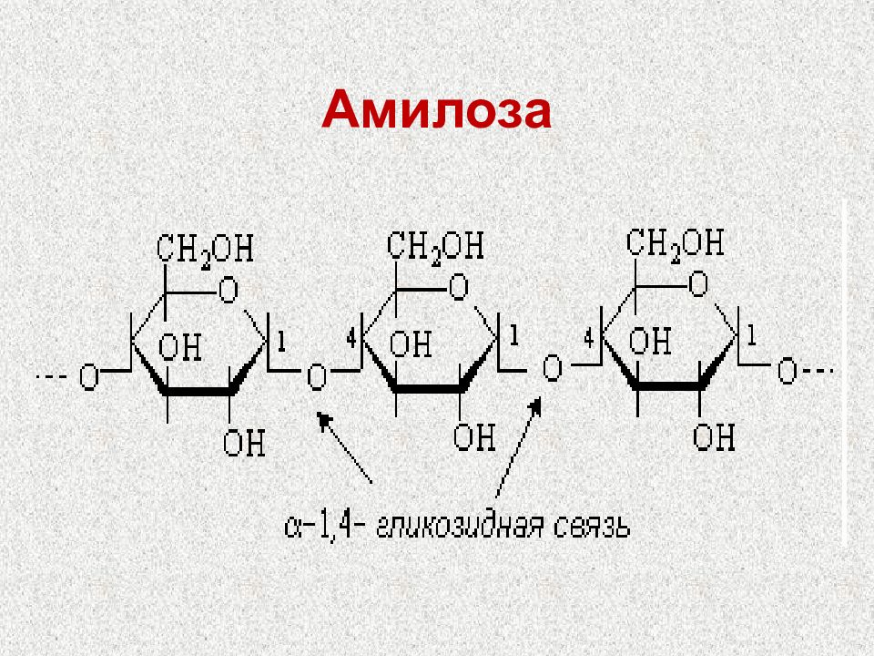 1 1 гликозидной связью. Амилоза формула структурная. Строение амилозы формула. Строение амилозы и амилопектина. Аминоза формула структурная.