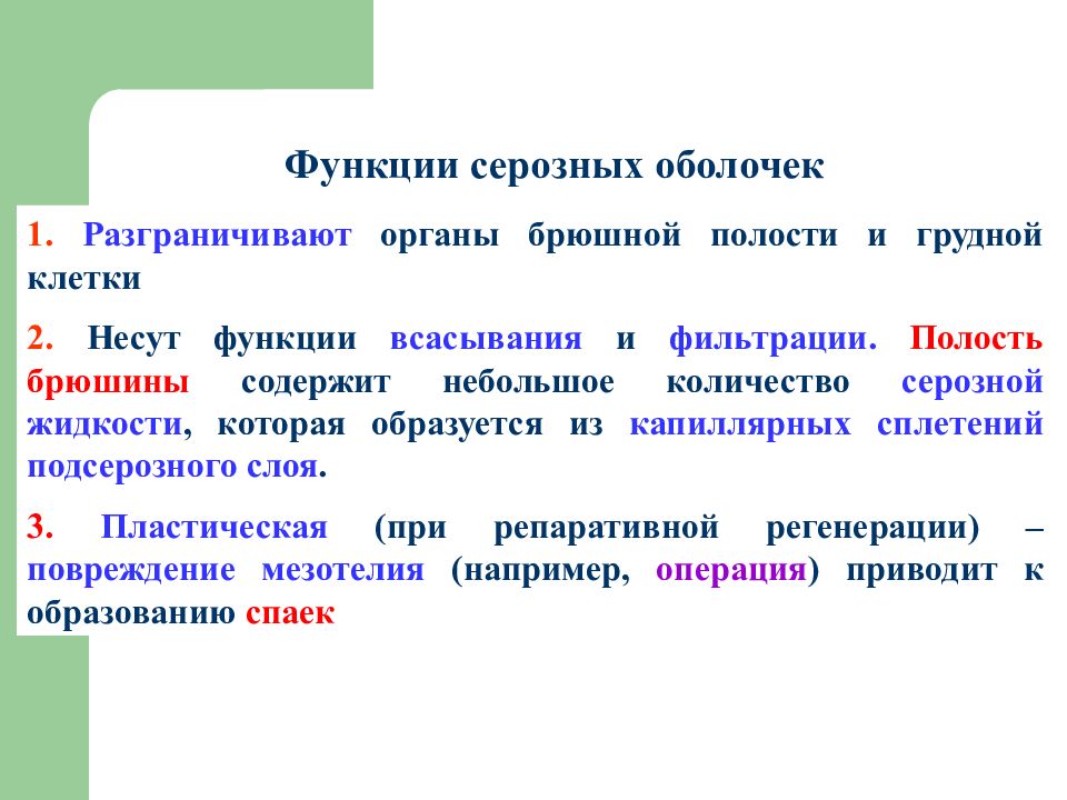 Функции грудной клетки. Серозная оболочка функции. Серозная жидкость функции. Формирование серозной оболочки и ее функции.