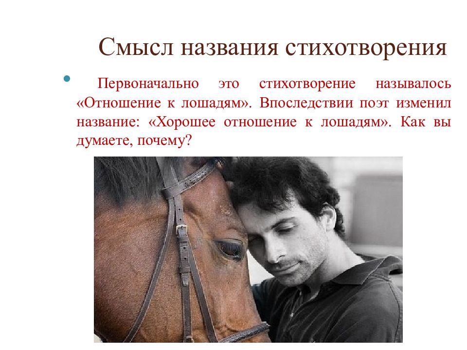 Хорошее отношение к лошадям сочувствие и сострадание. Хорошее отношение к лошадям Маяковский. Стихотворение Маяковского хорошее отношение к лошадям. Маяковский отношение к лошадям.