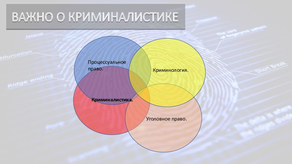 Криминалистика право. Криминология и криминалистика. Криминология картинки. Криминология презентация. Взаимосвязь криминалистики и криминологии.