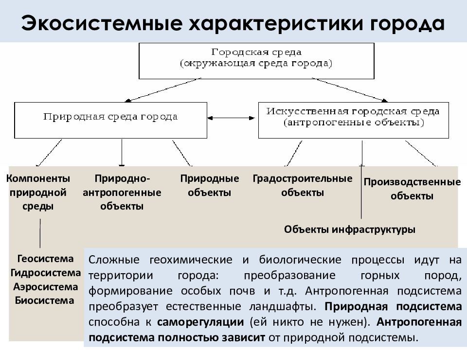 Город как искусственная экосистема презентация