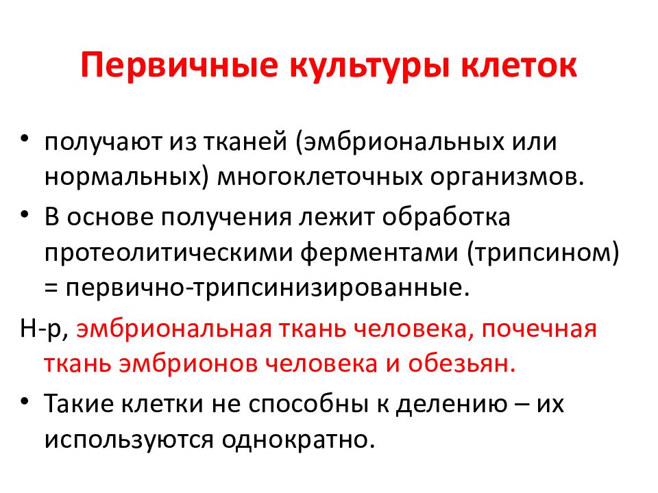 Первичные клетки. Первичные и перевиваемые культуры клеток. Первичные и перевиваемые культуры клеток ткани. Первично трипсинизированные культуры клеток это. Первичные перевиваемые полуперевиваемые культуры.