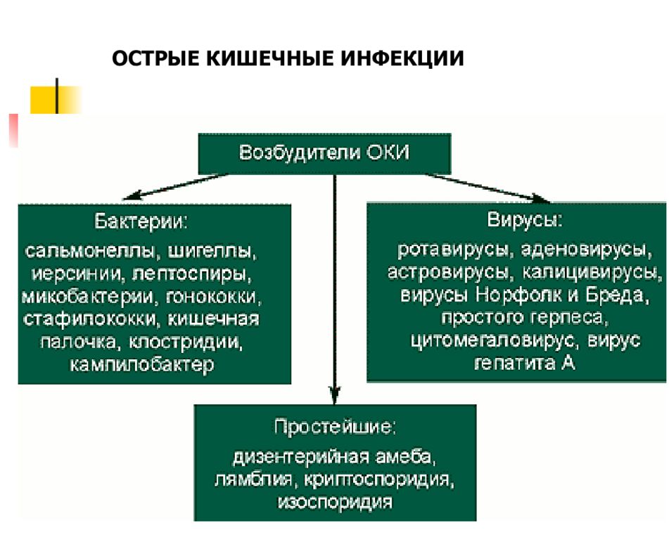 Острые кишечные инфекции презентация для медиков