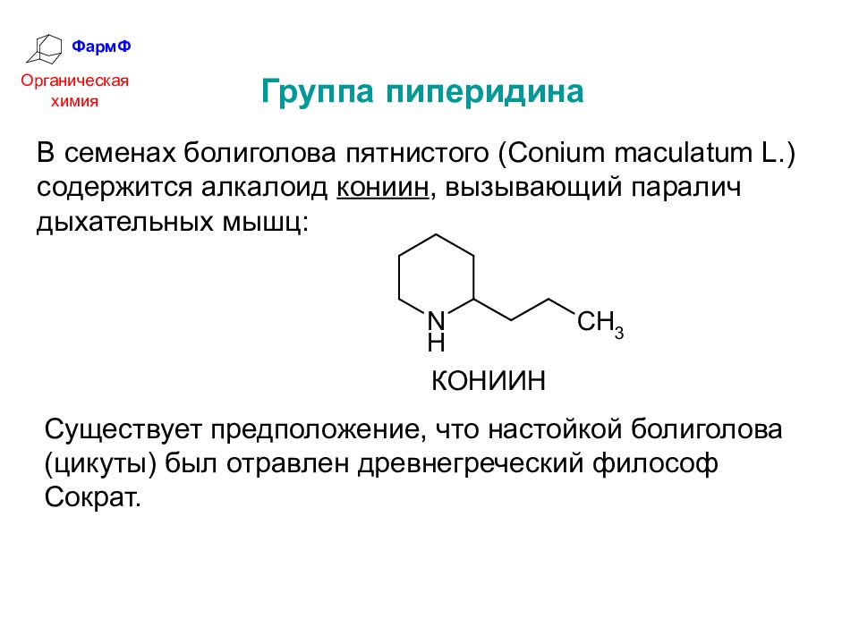 Презентация по химии алкалоиды