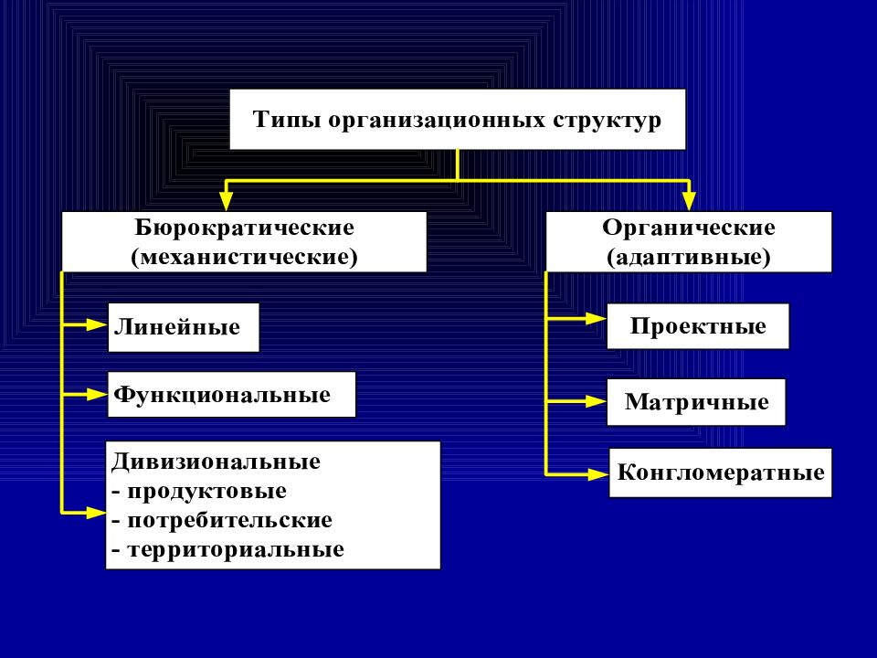 Структура организации презентация