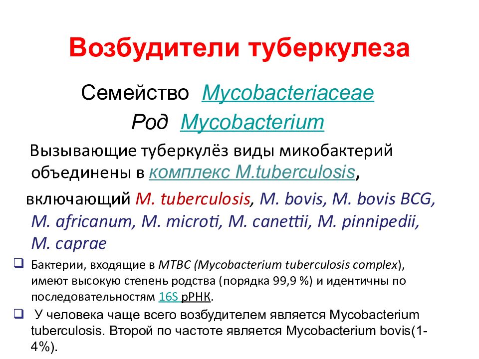 Возбудитель туберкулеза презентация