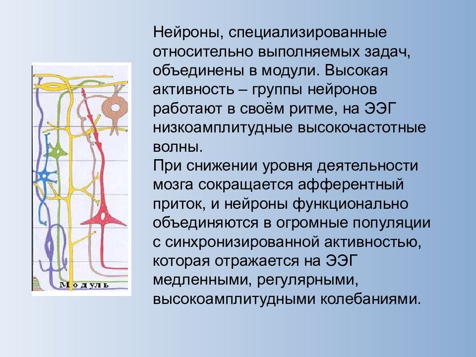 Методы исследования нервной системы у спортсменов презентация