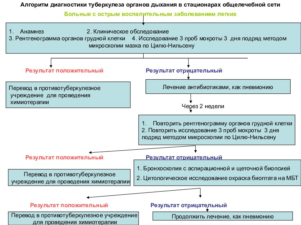 План профилактических мероприятий при туберкулезе