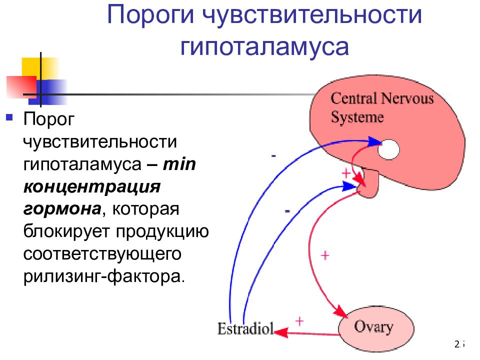 Гормоны гипоталамуса биохимия презентация