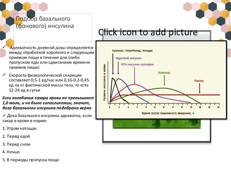 В течение утра. Схема короткого и длинного инсулина. Схемы инсулинотерапии при сахарном диабете. Суточная доза базального инсулина. Инсулины имитирующие базальную секрецию инсулина.
