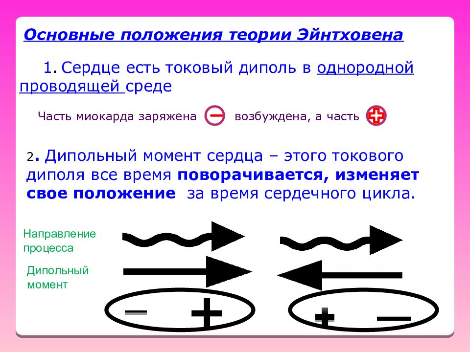 Момент сердца. Физические основы электрокардиографии теория Эйнтховена. Основные положения теории Эйнтховена. Теория отведений Эйнтховена. Физические основы теории отведений Эйнтховена.