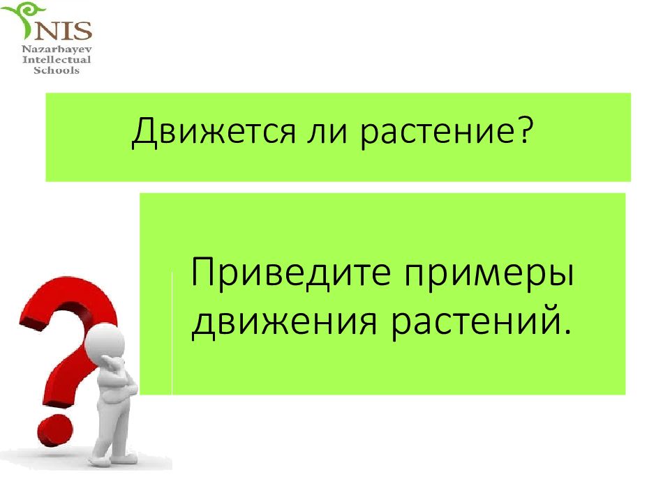 Е движения. Скрепя примеры движения. Приведите примеры картинка. Приведи пример позыркивал.