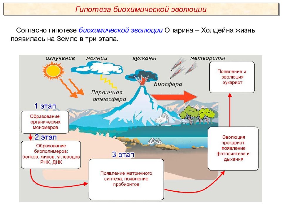 Абиогенное зарождение жизни презентация