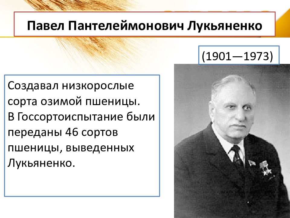 Лукьяненко павел пантелеймонович презентация