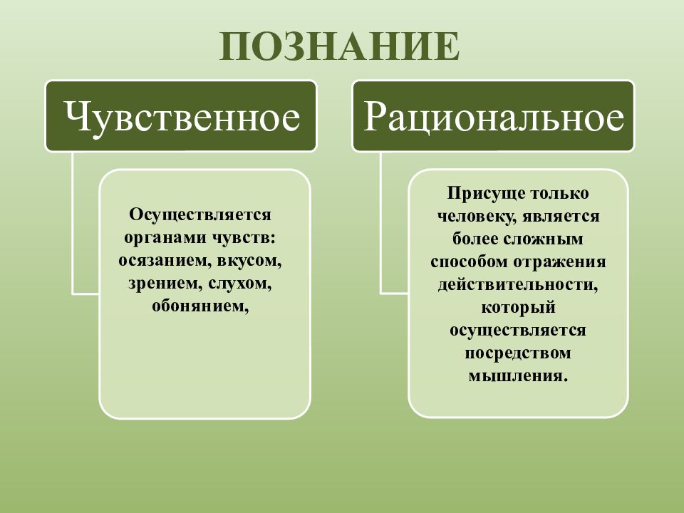 Схема основные формы познания