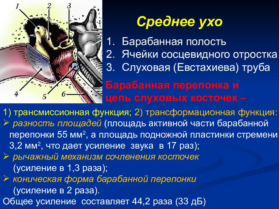 Методы исследования слухового анализатора презентация