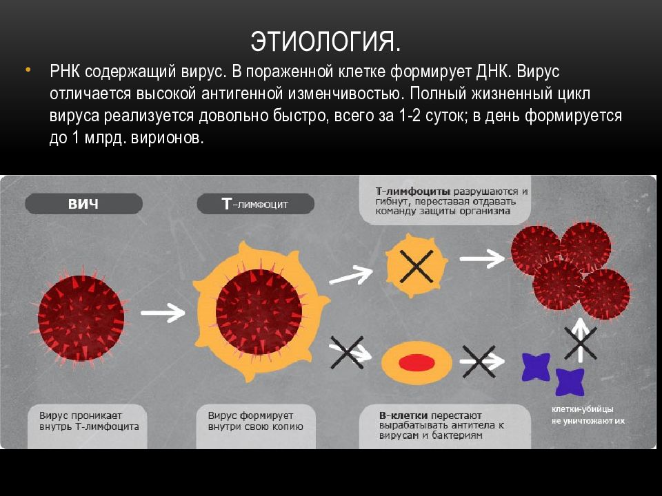 Вирусы группы вич. СПИД этиология. ВИЧ этиология. Проникновение вируса.